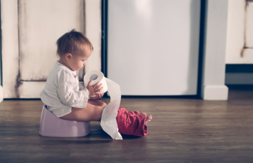 potty-training-support-in-toddler-programs